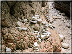 foto Canyon del Buso Vecio